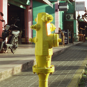 Candido400 Colour Film