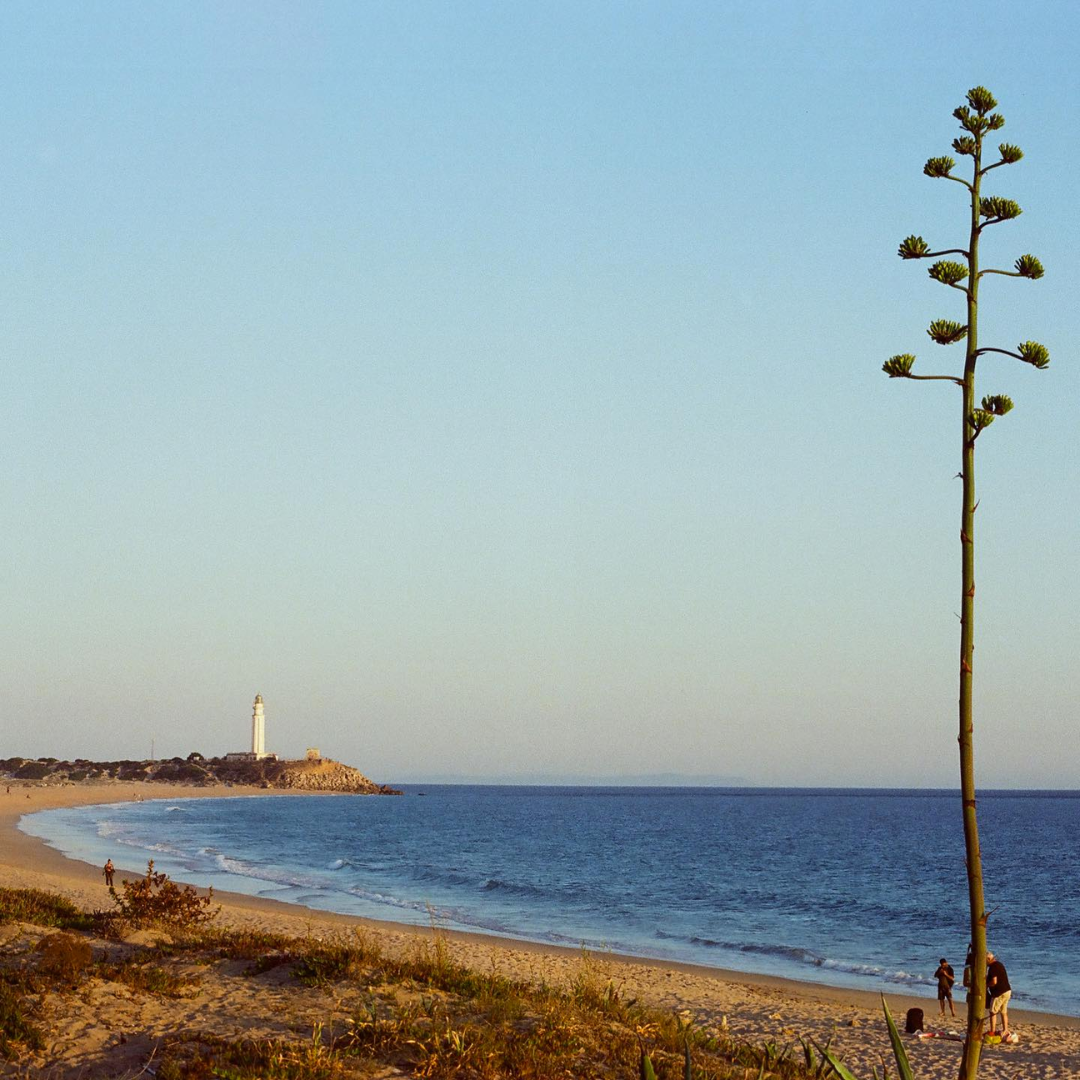 Candido200 Colour Film